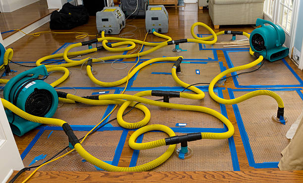 Professional Flood Damage Restoration technician working in Cedar Knolls, NJ